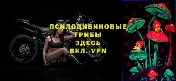 скорость Зерноград