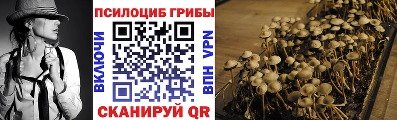 Галлюциногенные грибы GOLDEN TEACHER  Купить где  Спасск-Дальний 